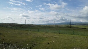 草原上的风力发电机组