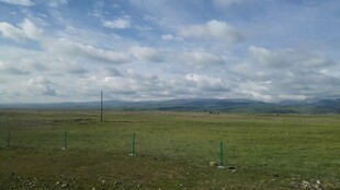 草原风光 辽阔天地美景