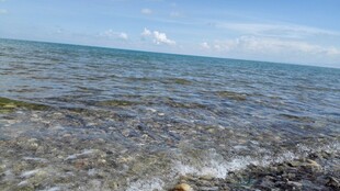 清澈海边 海浪轻拍沙滩