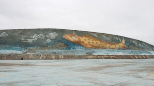 荒凉山地旁的开阔水域