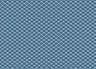 蓝白格子纹理图案
