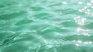 波光粼粼的碧绿水面