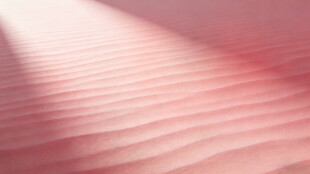 粉色沙海纹理特写