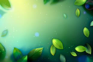 清新绿叶背景图