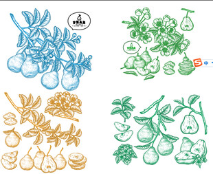 手绘多彩蔬菜水果图案