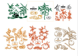 多样植物装饰图案设计