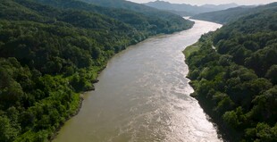 蜿蜒河流穿行于翠绿山林