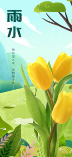 春日雨中绽放的黄色郁金香