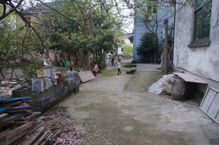 老旧小巷的静谧角落