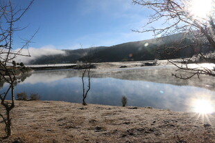 普达措森林公园