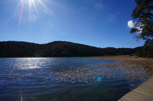 普达措森林公园