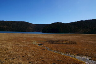 普达措森林公园