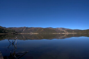 普达措森林公园