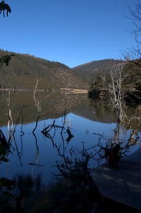 普达措森林公园