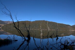普达措森林公园