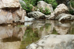 石林峡溪边嶙峋怪石与清澈倒影