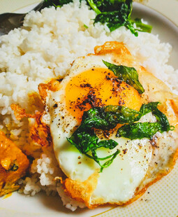 美味煎蛋盖饭