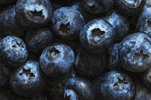 饱满蓝莓特写