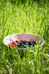 草地上的缤纷浆果碗
