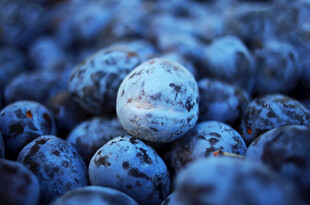 蓝莓