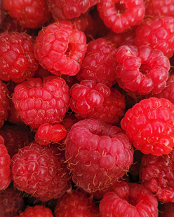 新鲜饱满的树莓果实