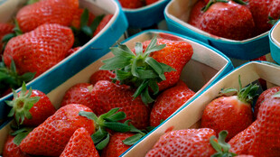 新鲜草莓装盒待售