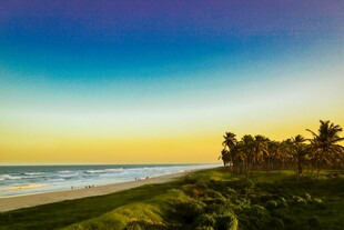 海滨黄昏美景 椰林伴海浪