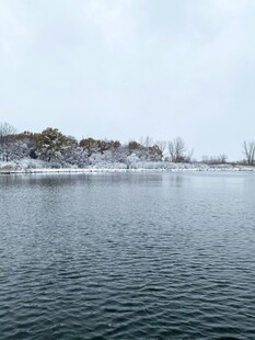 冬日湖畔雪景