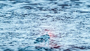 波光粼粼的水面