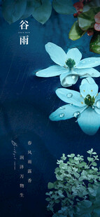 蓝底清新素雅白色小花