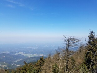 高山之巅的孤树与远景