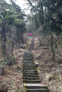 山林中的石阶步道