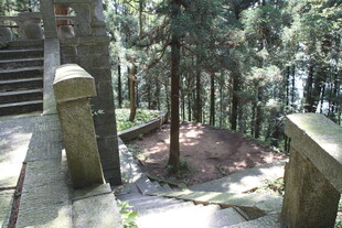 衡山林间石阶 静谧自然景致