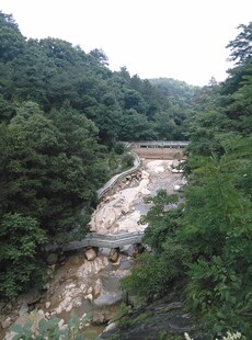 衡山山间溪流穿林而过