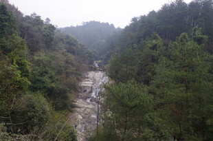 衡山山间溪流穿林而过