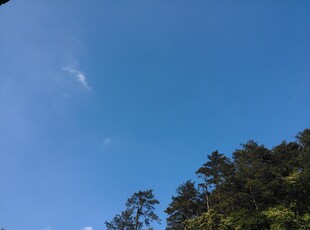 衡山蓝天绿树风景图