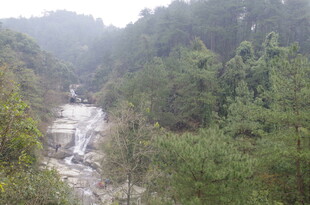 衡山山间溪流穿林而过