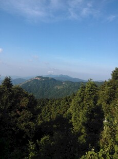 衡山山林美景 蓝天绿树相衬