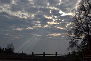 衡山阳光穿透云层洒向树林