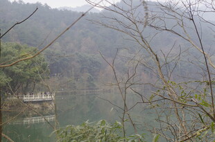 衡山山林湖畔美景