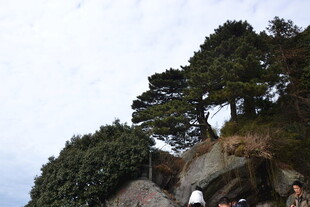 衡山山间松树旁的游客踪迹