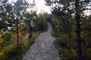 林间碎石小径 秋意初显