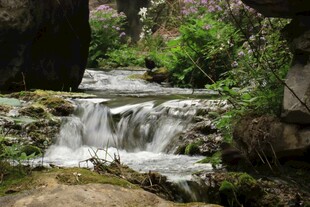 山间溪流小瀑布景观