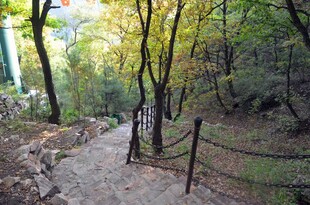 山间幽静小径秋景如画