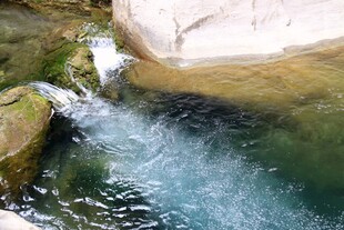 山间清澈溪流潺潺流淌