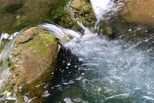 山间清泉流淌的灵动瞬间