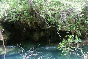 山间幽潭 绿植环绕之景