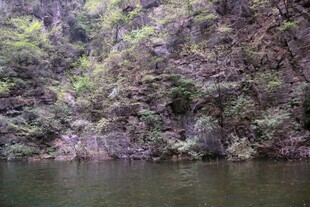 山间绿水环绕的葱郁景色