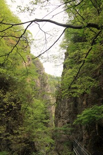山间绿意盎然的峡谷景色