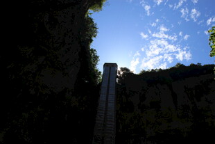 仰视观天见蓝天绿树